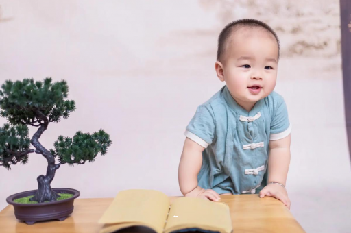 仙桃可爱的企鹅宝宝